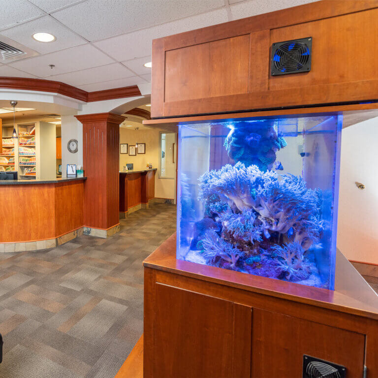Beautiful salt-water aquarium in a dentist waiting room